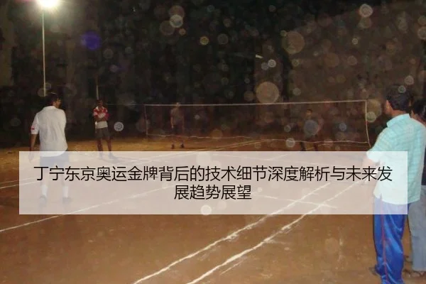 丁宁东京奥运金牌背后的技术细节深度解析与未来发展趋势展望